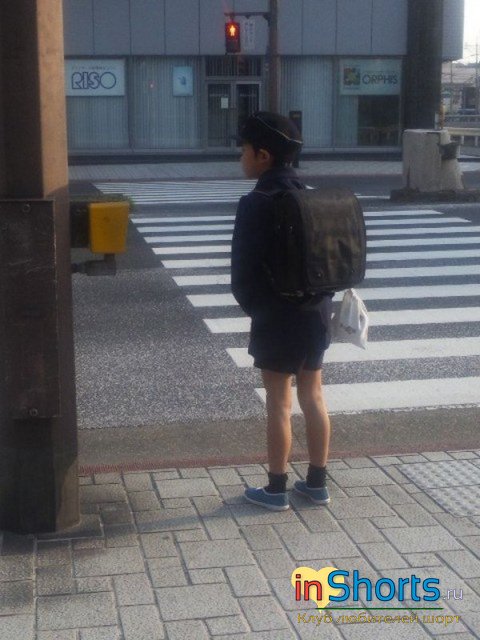маленький японский школьник в шортах